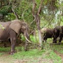ZMB EAS SouthLuangwa 2016DEC10 KapaniLodge 008 : 2016, 2016 - African Adventures, Africa, Date, December, Eastern, Kapani Lodge, Mfuwe, Month, Places, South Luangwa, Trips, Year, Zambia